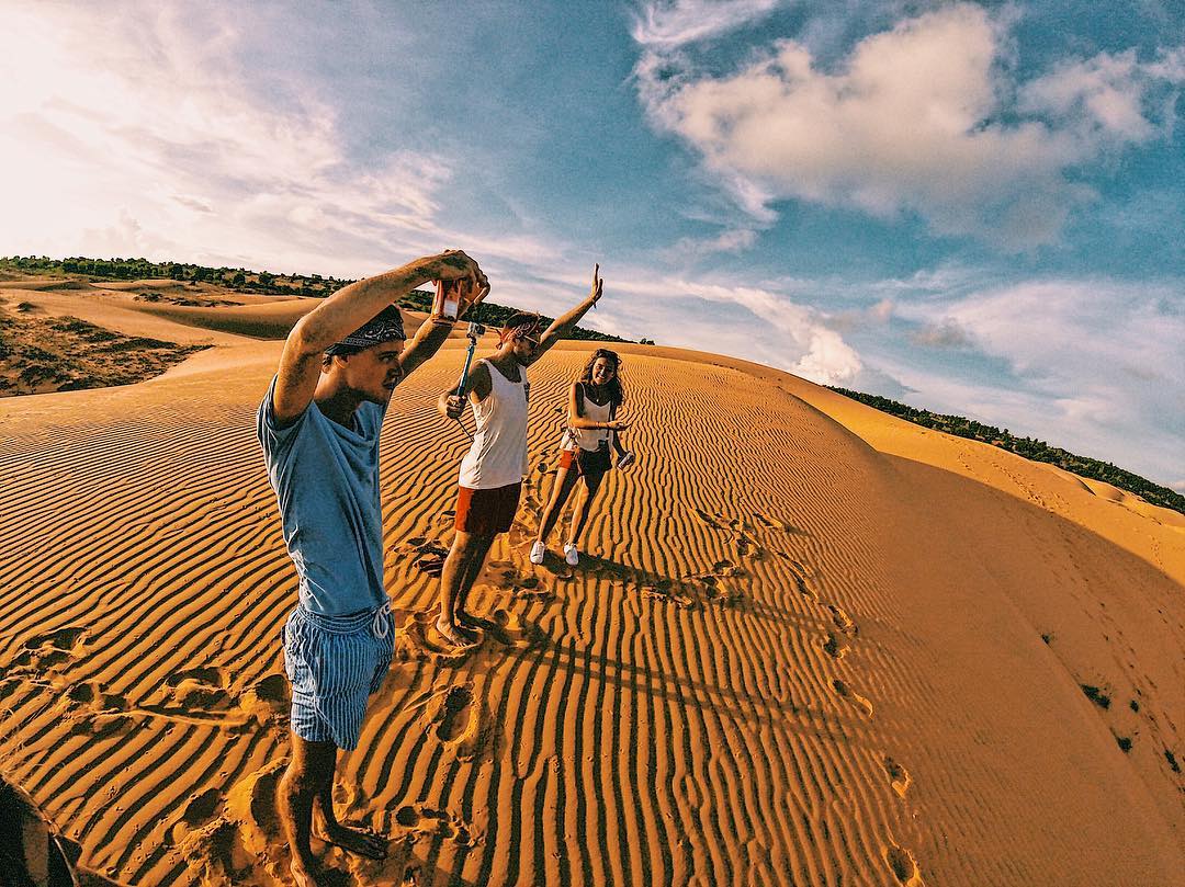 Bay Sand Dunes with characteristic dark yellow color